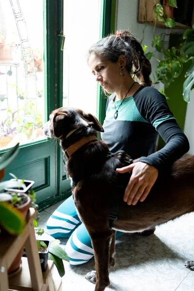 woman kneeling on the ground petting dog next to a window, dog looking out the window, girl in her forties with long dreadlocks.