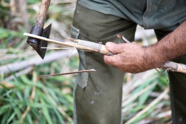 Elinde balta, elinde baston, kamuflaj pantolonu ve domates bitkileri için baston hazırlayan tanınmamış bir adam. Cadılar Bayramı için gizemli görüntü