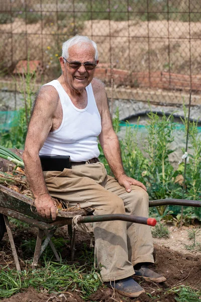 老人坐在手推车上种花休息 快乐的八十岁老人穿着白色的罐顶 灯芯绒长裤收获洋葱 — 图库照片