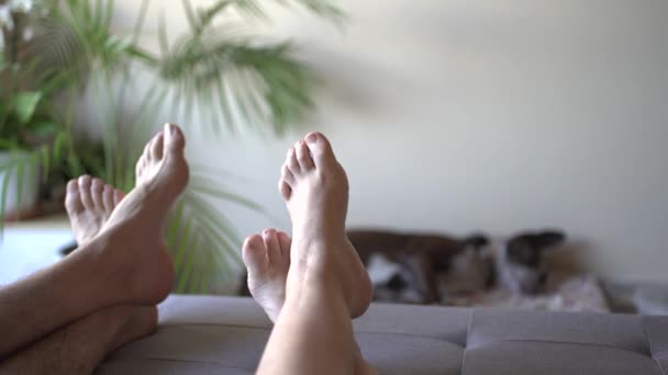 Bir Yaz Günü Evde Dinlenen Bir Puf Üzerinde Çıplak Ayak — Stok video