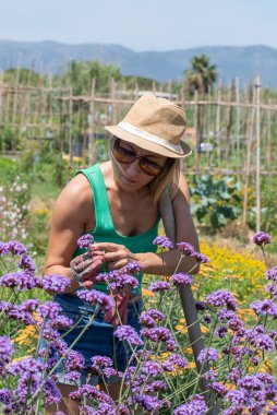 Bahçedeki çiçekleri ve sebze bahçesini kontrol eden bir kadın, küçük çiçek ve aromatik bitkiler üretiyor. 40 yaşında, sarışın, koyu tenli, güneş gözlüklü, şortlu ve yeşil kolsuz tişörtlü bir bahçıvan..