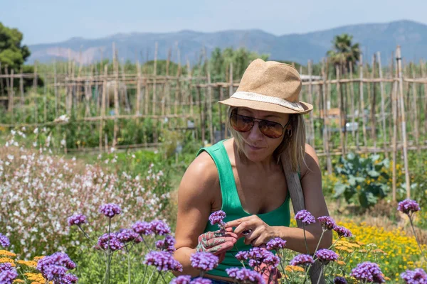 妇女在花园地区和蔬菜园检查花卉 小型花卉和芳香植物生产 40岁的金发 深色皮肤的园艺师 戴着太阳镜 短裤和绿色背心 — 图库照片