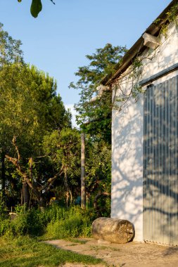 Çevresindeki bitkiler, ağaçlar, çalılar ve çalı bitkileriyle birlikte kırsal alanda metal kapılı bir depo.