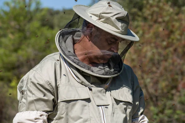 養蜂の保護服を着たプロファイルの男の肖像画 蜂のビジネスは動作していません 気候危機は蜂の巣を殺しています — ストック写真