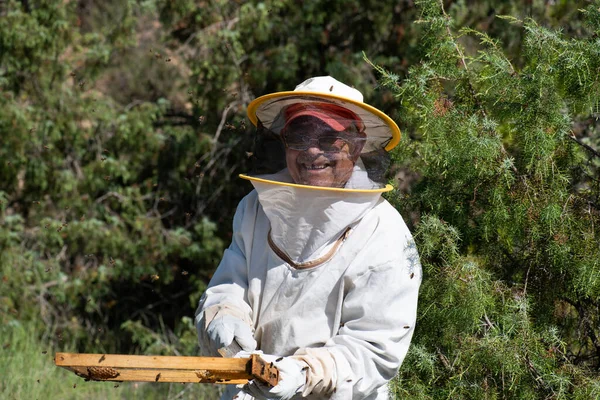 蜂の保護服を着た80代の男性の肖像画は 歯を笑って行方不明 彼の手に蜂のパネル — ストック写真