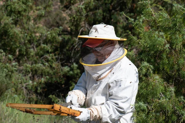 保護服を着た80代の男の肖像画手には蜂のパネルがあり — ストック写真