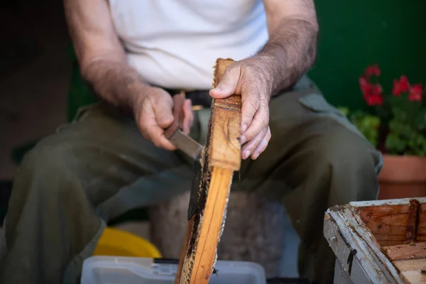 stock image older man cutting the wax off the bee panels at the door of a house. experienced older man wearing a tank top