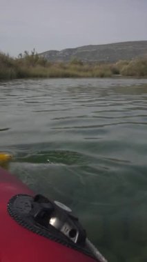 Suda kürek çekerken ve nehirde kayık, tekne ve su hareketlerinin videosu.
