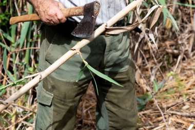 Cadılar bayramı görüntüsü, bir balta ile yıpranmış eller, bir baston doğrama yaşlı kırsal adam, kamuflaj pantolon ve çizgili gömlek giymiş.