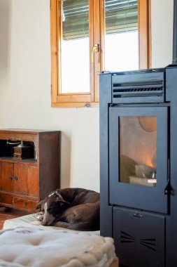 Köpek yatağında bir mobilya parçası ile yanan bir tencere arasında uyuyor, yastıklı ev içi, gün ışığı, kır tasarımı ev tasarımı