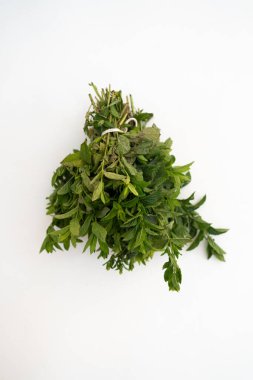 Taze nane dalının dikey fotoğrafı bir ipte kuruyor ve beyaz duvarda baş aşağı asılı duruyor.