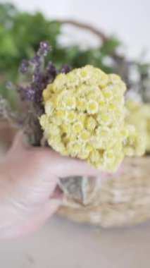 El kamerasıyla çekilmiş bir sürü yeşili alıp kekik, nane, biberiye, adaçayı gibi aromatik otlarla dolu bir sepete koyuyor..