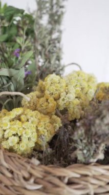 Bir sepet aromatik ot, kekik, biberiye, adaçayı ve nane içeren bir video. Beyaz çalışma tablosu ve beyaz arkaplan duvarı