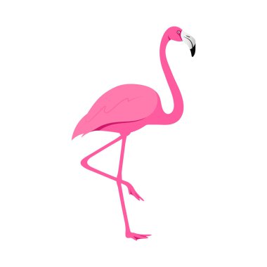 Pembe flamingo kuşları çizim vektörü