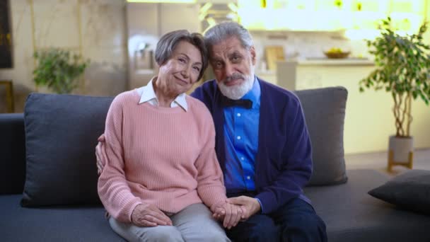 Elderly Senior Man Woman Portrait Looking Camera Sitting Sofa Hugging — Stock Video