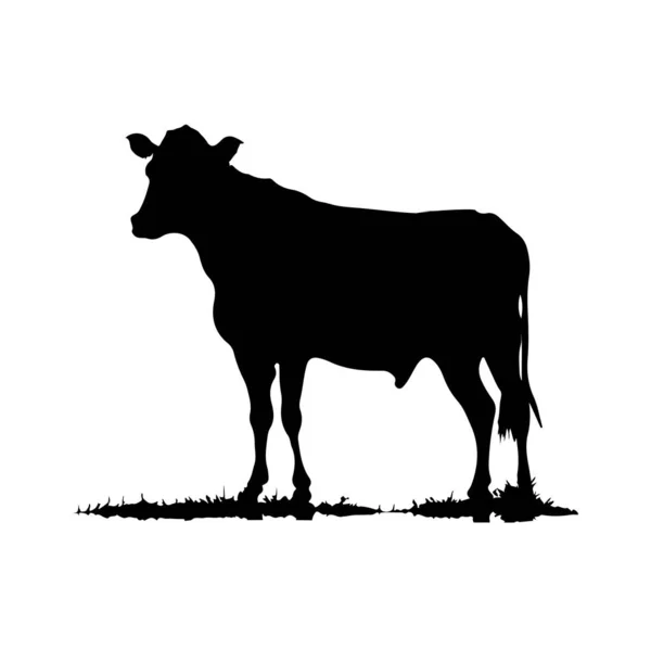 Kuh Silhouette Vector Cow Icon — Stockvektor
