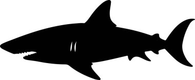 Köpekbalığı katıksız siyah siluet vektör resimleme.