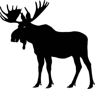 Moose illustration silhouette vector design clipart