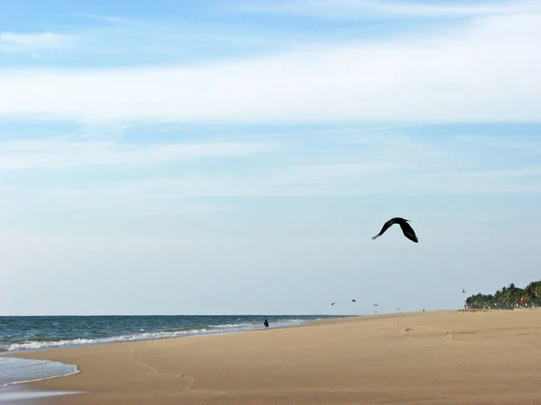 Szeroka Piaszczysta Plaża Słoneczny Dzień — Zdjęcie stockowe