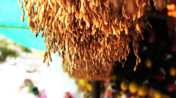 Tradycyjna Indyjska Dekoracja Wnętrz Snopami Ryżowymi — Zdjęcie stockowe
