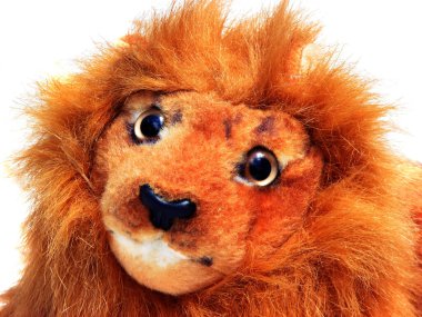 Bir aslan bebeğinin en yakın figürü..