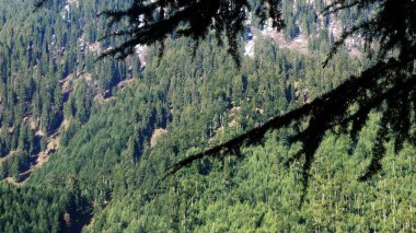 Hindistan 'da Himalaya manzarası.