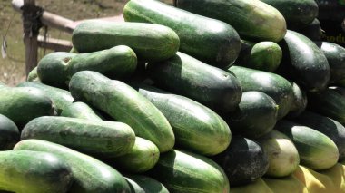 Bir sokak dükkanına tıkılmış çiğ salatalık..