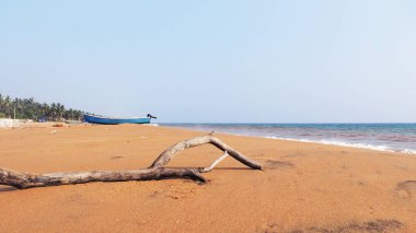 Veli 'deki sahil, Thiruvananthapuram, Kerala, Hindistan.