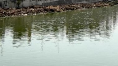 Dalgalanan göl yumuşak esintide yansıyor..