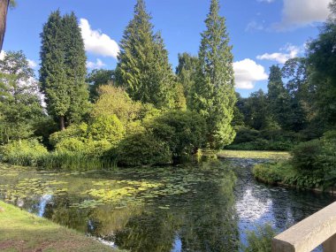 Lake and trees at Tatton Park 