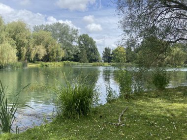 Lake in Guilford on summers day 