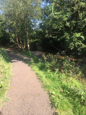 Walk alongside stream at Quarry Bank
