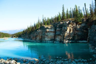 View from the bank of the Atabasca river to the blue waters and mountains and cliffs with forests. Jasper national park, Alberta, Canada.