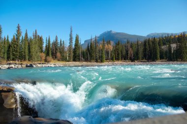 Close look at Athabasca waterfall in autumn warm day.