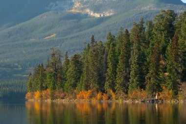 The Pyramid lake, Jasper national park. Beautiful andscape of the lake and reflection of autumn forest in the water in the Rocky mountains in Canada.