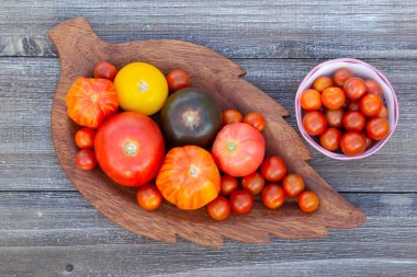 Variety of organic colorful tomatoes (yellow, black, orange, red, cherry)  are on the wooden leaf shaped plate on the table made of wood.