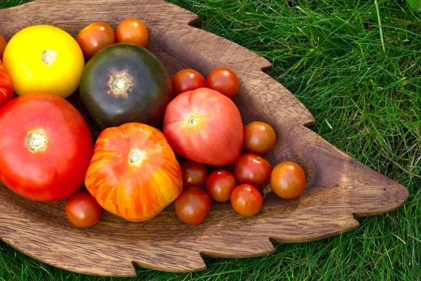 Różnorodność Pomidorów Pomarańczowy Żółty Czerwony Czarny Wiśniowy Drewnianej Płycie Kształcie — Zdjęcie stockowe