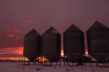 Granaries or grain bins and beautiful porple and orange sunset on the background in prairies.