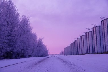 Prairies 'deki tahıl çiftliğinde resimli kış gündoğumu. Mor ve pembe sabah ışığında köy yolundaki ambarlar.