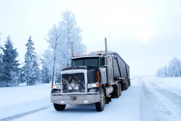 Semi-truck is parked on the icy country road in a foggy winter day, white lanscape and trees covered with snow on the background.