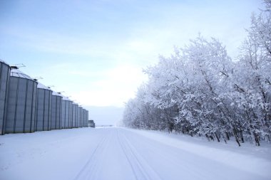 Kışın karlı orman ve tahıl kutularının çalındığı köy yolu boyunca..
