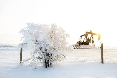 Petrol sahasında güzel bir kış manzarası. Sabah ışığında kriko pompala ve çitin yanındaki karla kaplı çalı.