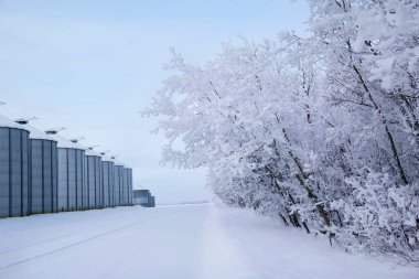 Yol boyunca çelikle kaplanmış tahıl varilleri ve kışın orman, karla kaplı ağaçlar..