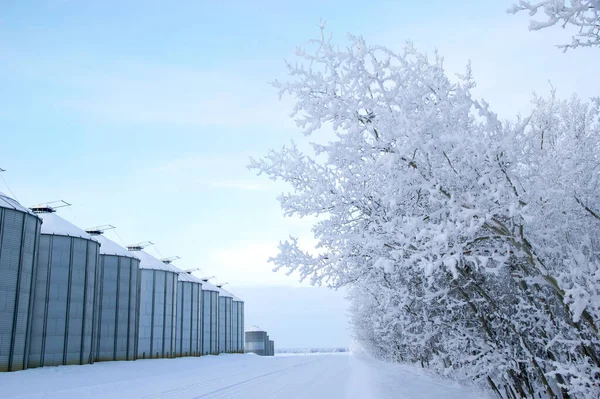 Kışın karlı orman ve tahıl kutularının çalındığı köy yolu boyunca..