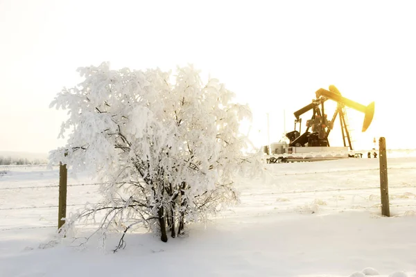 Όμορφη Χειμωνιάτικη Σκηνή Στην Πετρελαιοπηγή Αντλία Γρύλο Πρωί Φως Και — Φωτογραφία Αρχείου