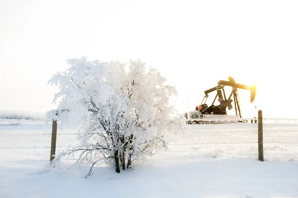 Petrol Sahasında Güzel Bir Kış Manzarası Sabah Işığında Kriko Pompala — Stok fotoğraf