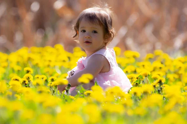 Toddler Girl Sitting Green Lawn Blooming Yellow Dandelions Spring — Stock Photo, Image