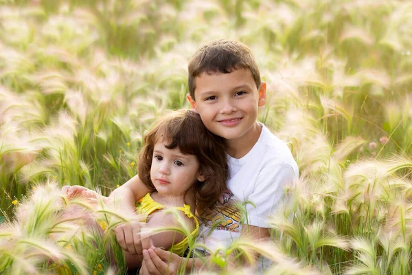 Brother Sister Sitting Hugging Yellow Foxtail Grass Summer — Stock Photo, Image