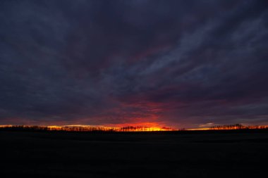 Ufukta ağaç siluetleri, mor ve turuncu ışık ile ovalarda dramatik günbatımı.