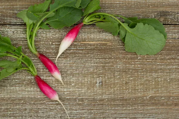 Top View Bunch Long Radishes French Breakfast Variety Green Leaves — Stock Photo, Image